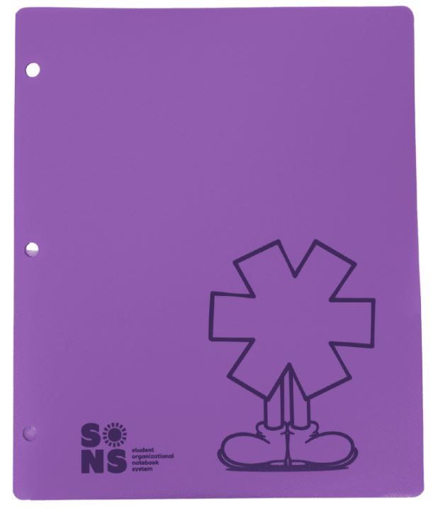 Cartapacios Plasticos Violeta