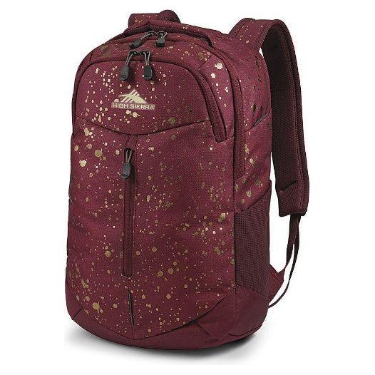 Swerve Backpack
