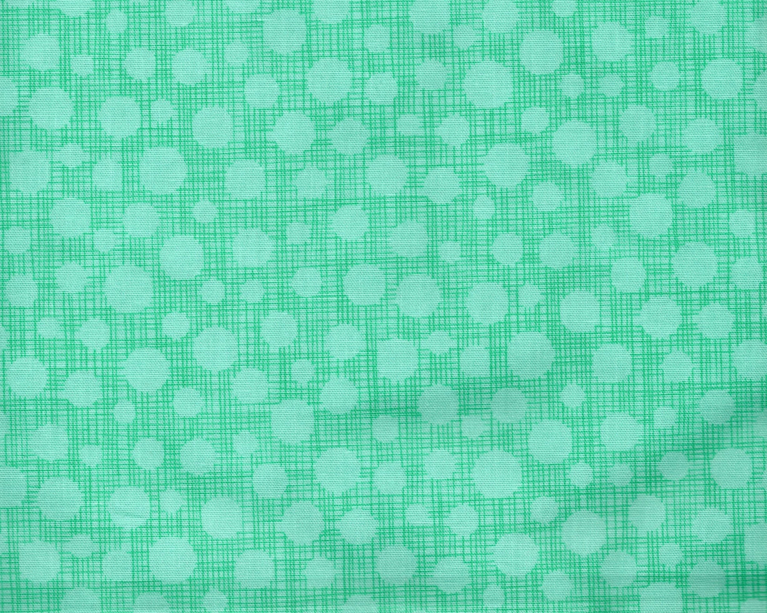 Cover Nap Preescolar