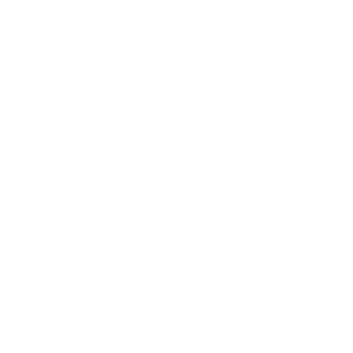 VPA School
