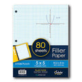 Filler Paper 5 x 5 Graph Ruled 10.5" x 8" Pkg. 80